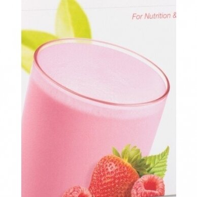 NeoLifeshake, protein drink - food substitute, berry and cream, chocolate and vanilla flavors